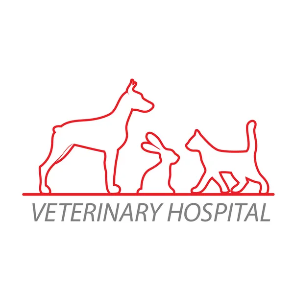 Ветеринар лікарні — стоковий вектор