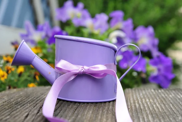 Riego violeta — Foto de Stock