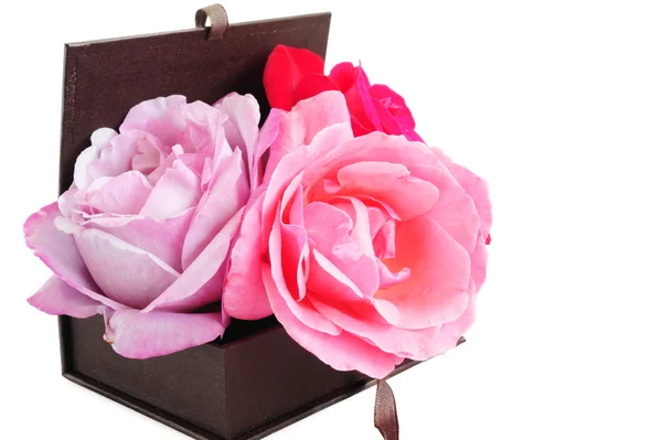 Róże w pudełku — Zdjęcie stockowe