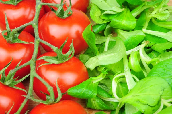 Tomates y lechuga —  Fotos de Stock