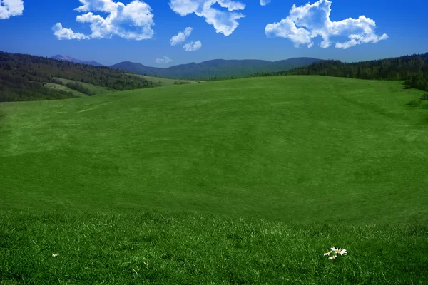 山上的绿色草原 — 图库照片