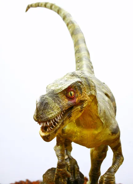 Ornitholestes dinosaur on white — Stock Photo, Image