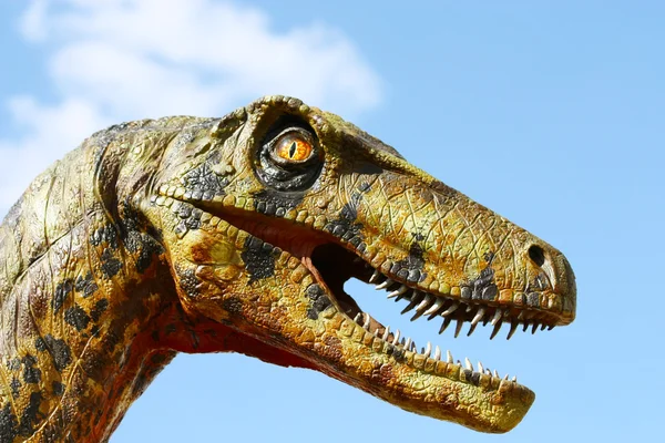 Cabeça de dinossauro Deinonychus — Fotografia de Stock