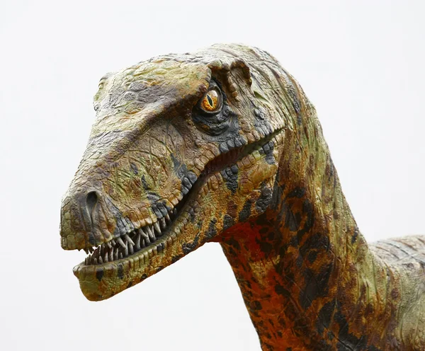 Cabeza de dinosaurio Deinonychus sobre blanco — Foto de Stock