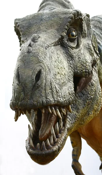 Тиранозавр Рекс динозавра на белом — стоковое фото