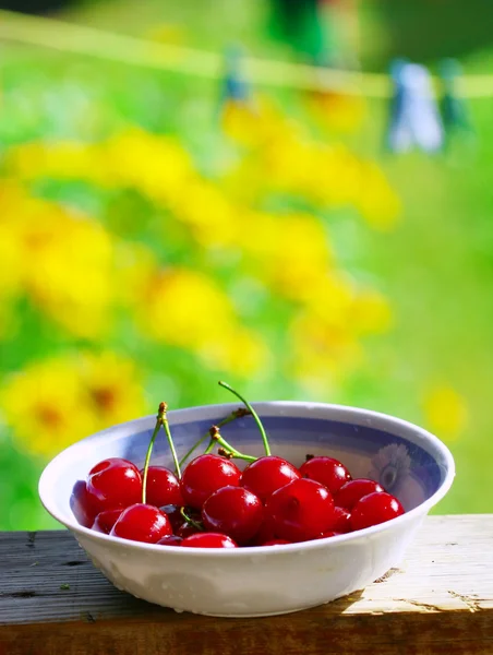 Cerejas doces — Fotografia de Stock