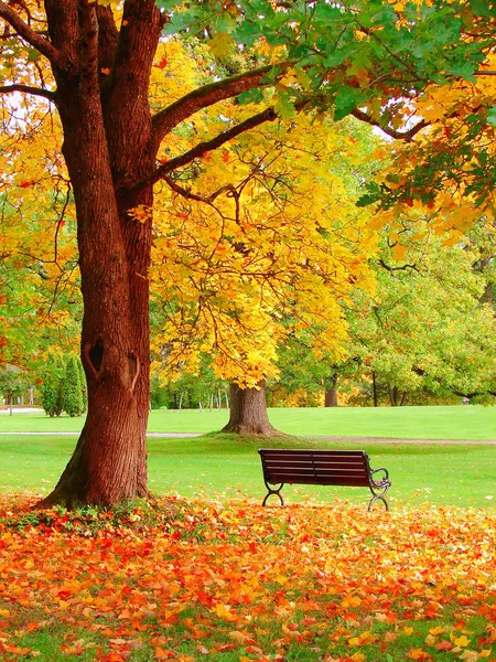 赫尔辛基公共花园的秋天 — 图库照片