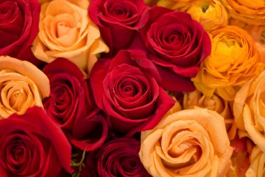 Red, Yellow and Orange Roses clipart