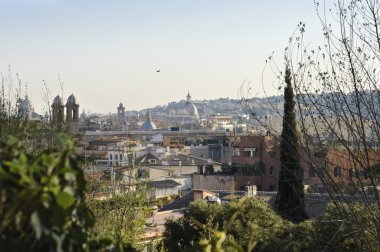 Roma pincio Hill View