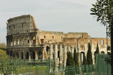 Colosseum arka yüzüne, Roma