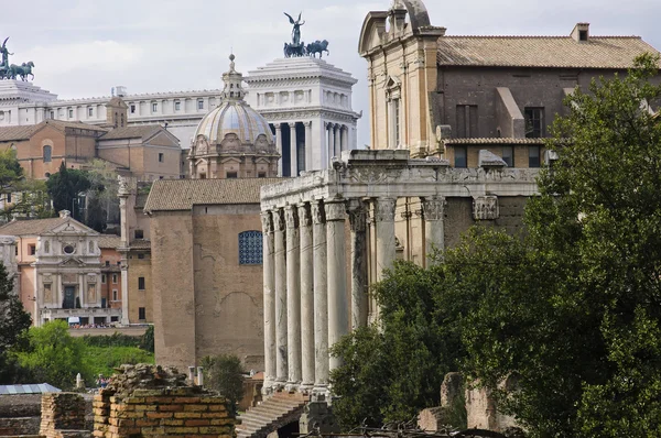 Temples on the Roman Forum — Stock Photo, Image