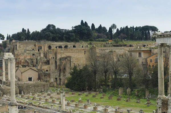 Roman forum ruins scenic view — Stock Photo, Image