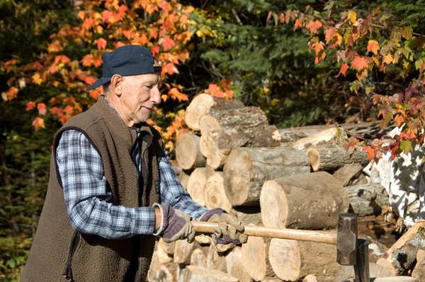 Gezonde oudere man houthakker — Stockfoto