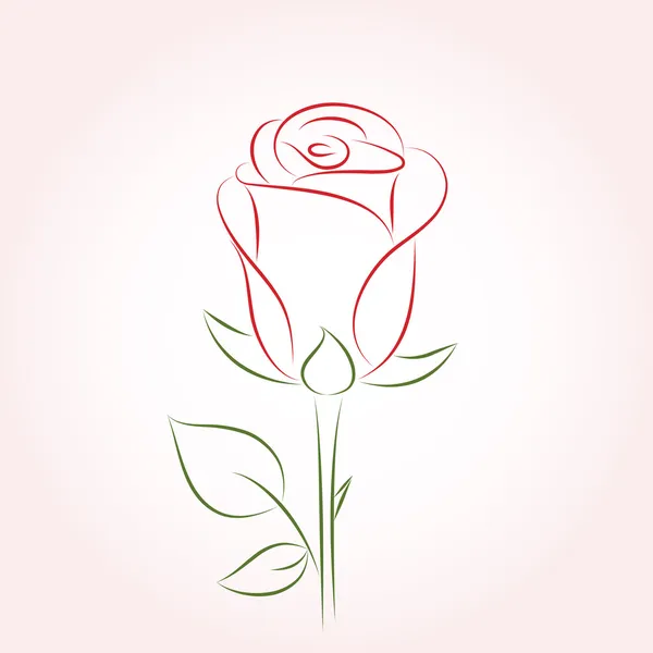 Rose. Vector illustration. — Stock Vector