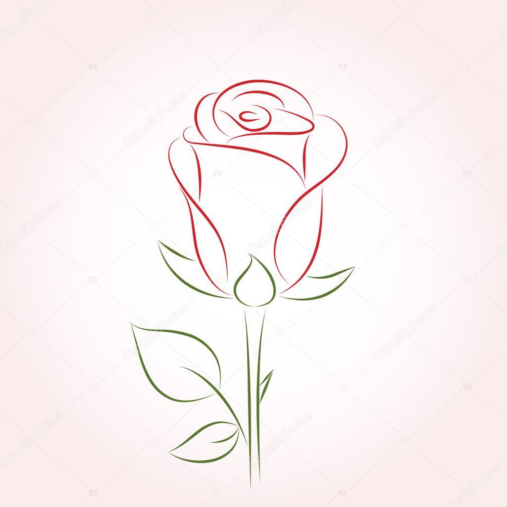 Rose. Vector illustration.