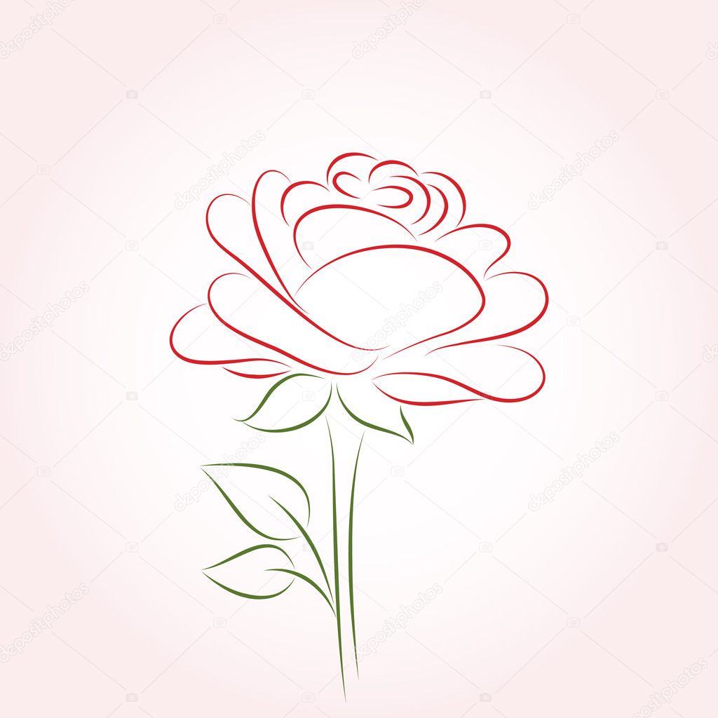 Rose. Vector illustration.