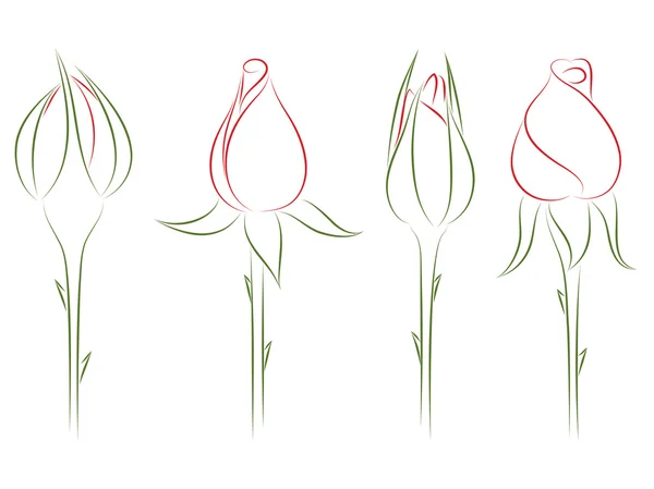 Des boutons de rose. Illustration vectorielle . — Image vectorielle