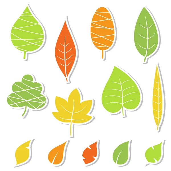 Set of leaves. Vector illustration. — Stock Vector