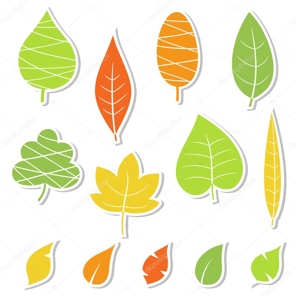 Set of leaves. Vector illustration.