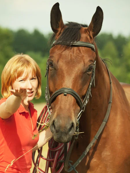 Retrato de una linda joven con su caballo — Foto de Stock