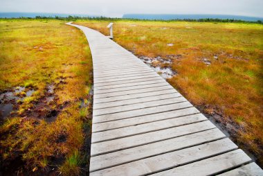 Boardwalk in Gros Morne Park clipart