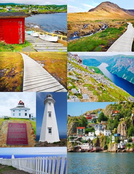 Newfoundland - resim kolaj — Stok fotoğraf