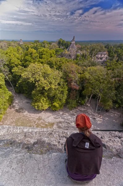 Tikal 유적 — 스톡 사진