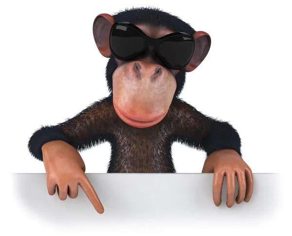 원숭이 재미 — 스톡 사진