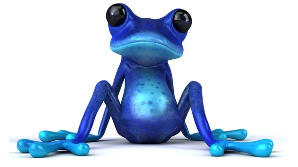 Μπλε βάτραχος — Φωτογραφία Αρχείου