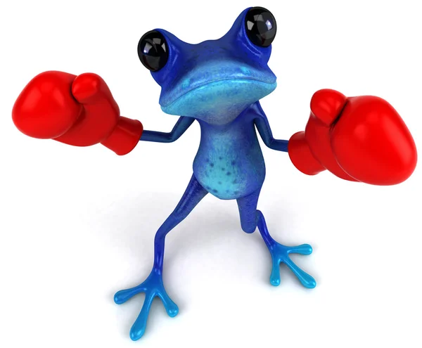 개구리 권투 — 스톡 사진