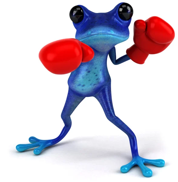 青蛙拳击 — 图库照片