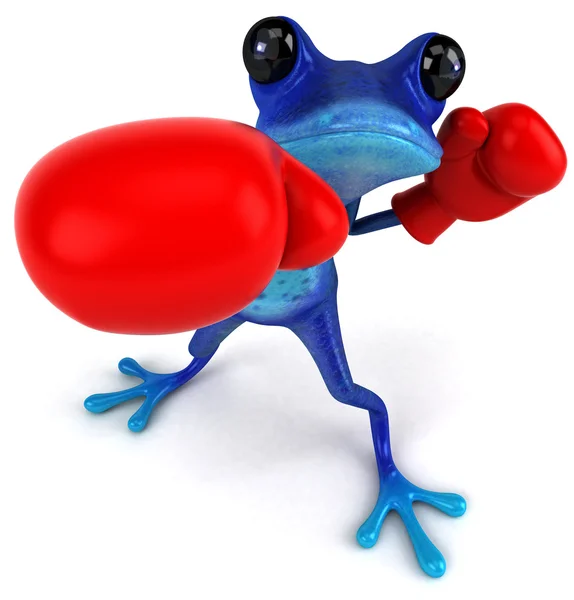 Kurbağa boks — Stok fotoğraf