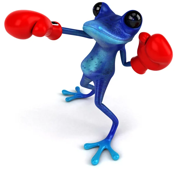 Frog boxing — Stock Photo, Image
