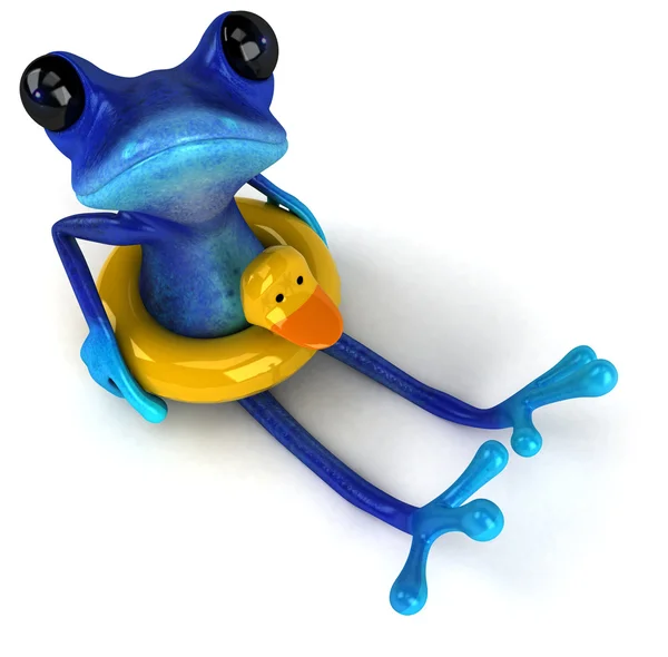 Modrá žába — Stock fotografie