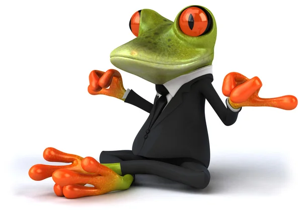 禅宗的青蛙 — 图库照片