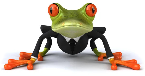 Żaba śmieszna — Zdjęcie stockowe