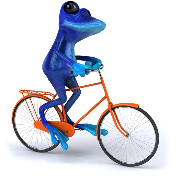 Žába na kole — Stock fotografie