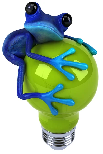 電球とカエル — ストック写真