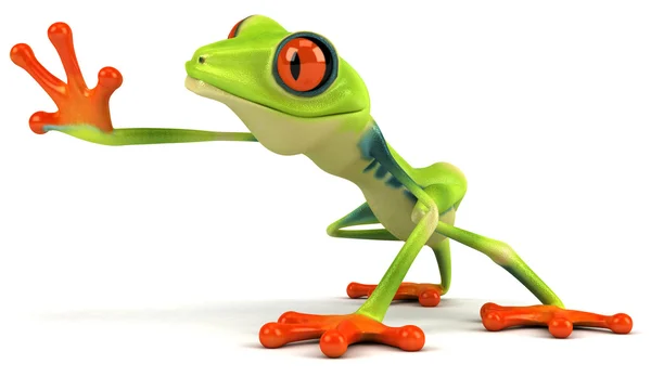 科尔青蛙 — 图库照片