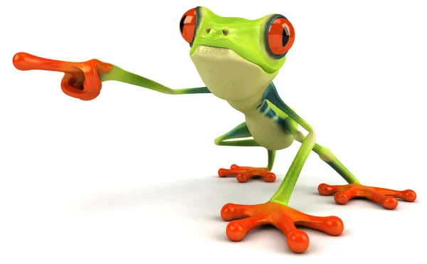 科尔青蛙 — 图库照片