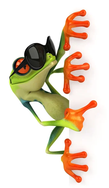 Cool жаба — стокове фото