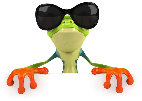 Cool жаба — стокове фото