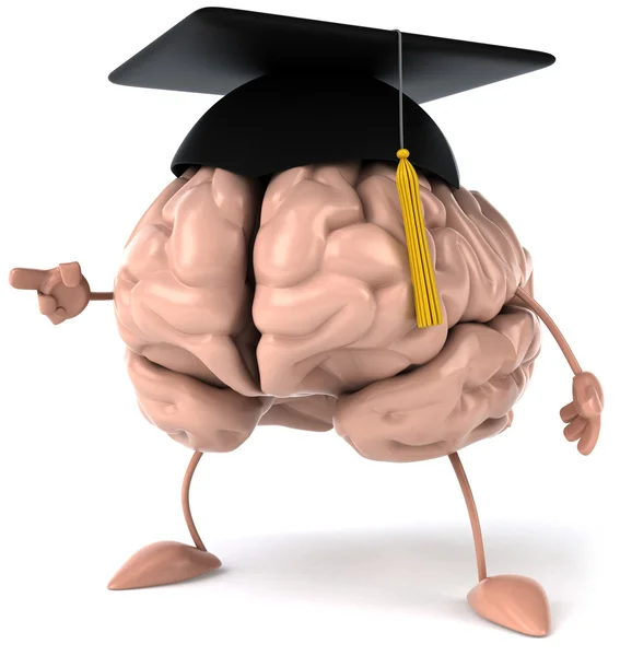 Tanuló agy — Stock Fotó