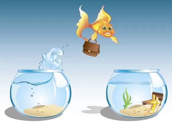 Business goldfish — Stock Vector