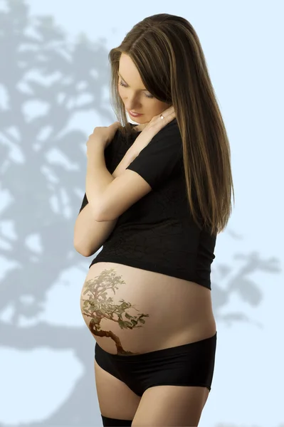 Dolce e carino incinta — Foto Stock