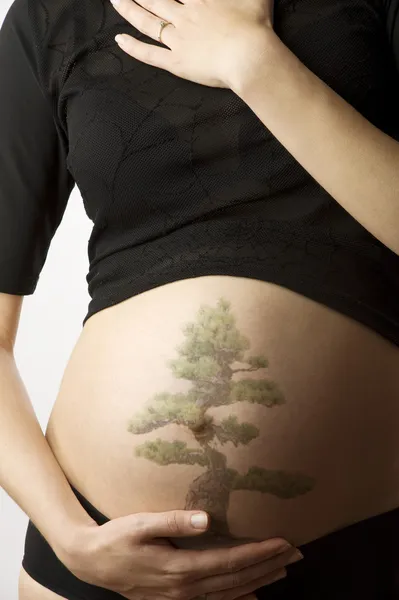 A árvore grávida — Fotografia de Stock