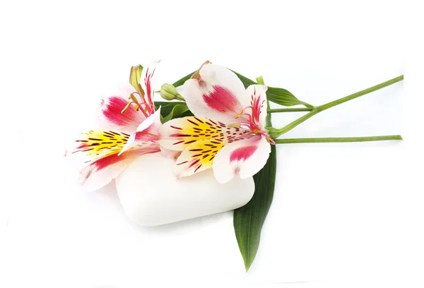 Orquídea rosa e sabão branco — Fotografia de Stock