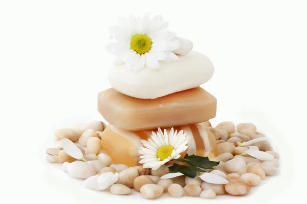 Soap, flower and sea stones — Stock Photo, Image