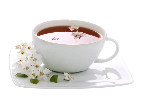 Kopp te med blommor — Stockfoto
