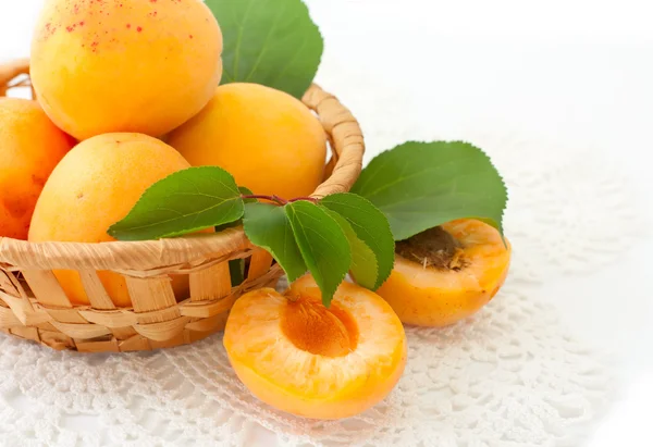 Apricots in a backet — Stock Photo, Image